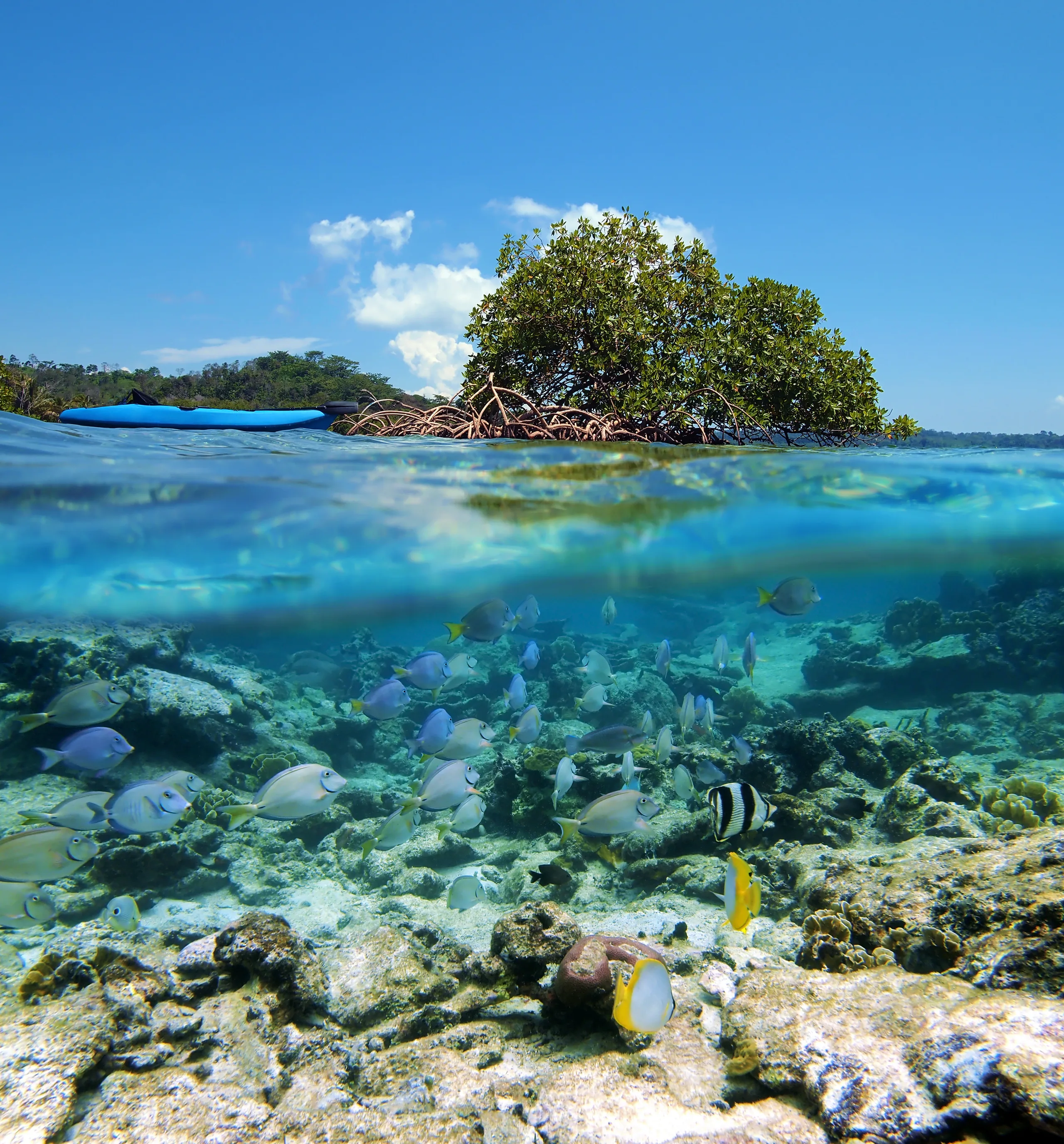 Isla Colón, Bocas del Toro