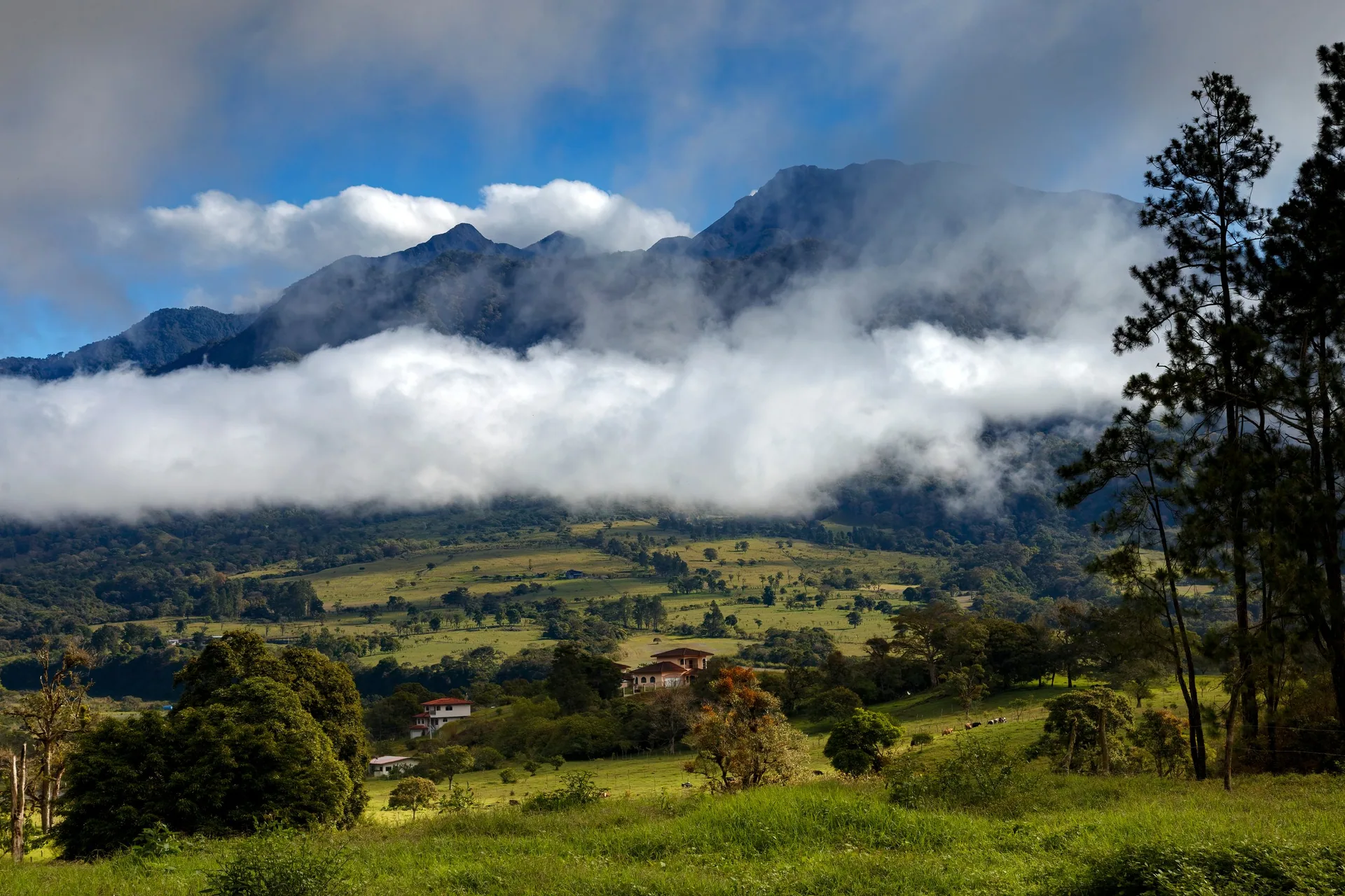 Finca cafetalera en el flanco del Volcan Baru, sobre Boquete, Panama