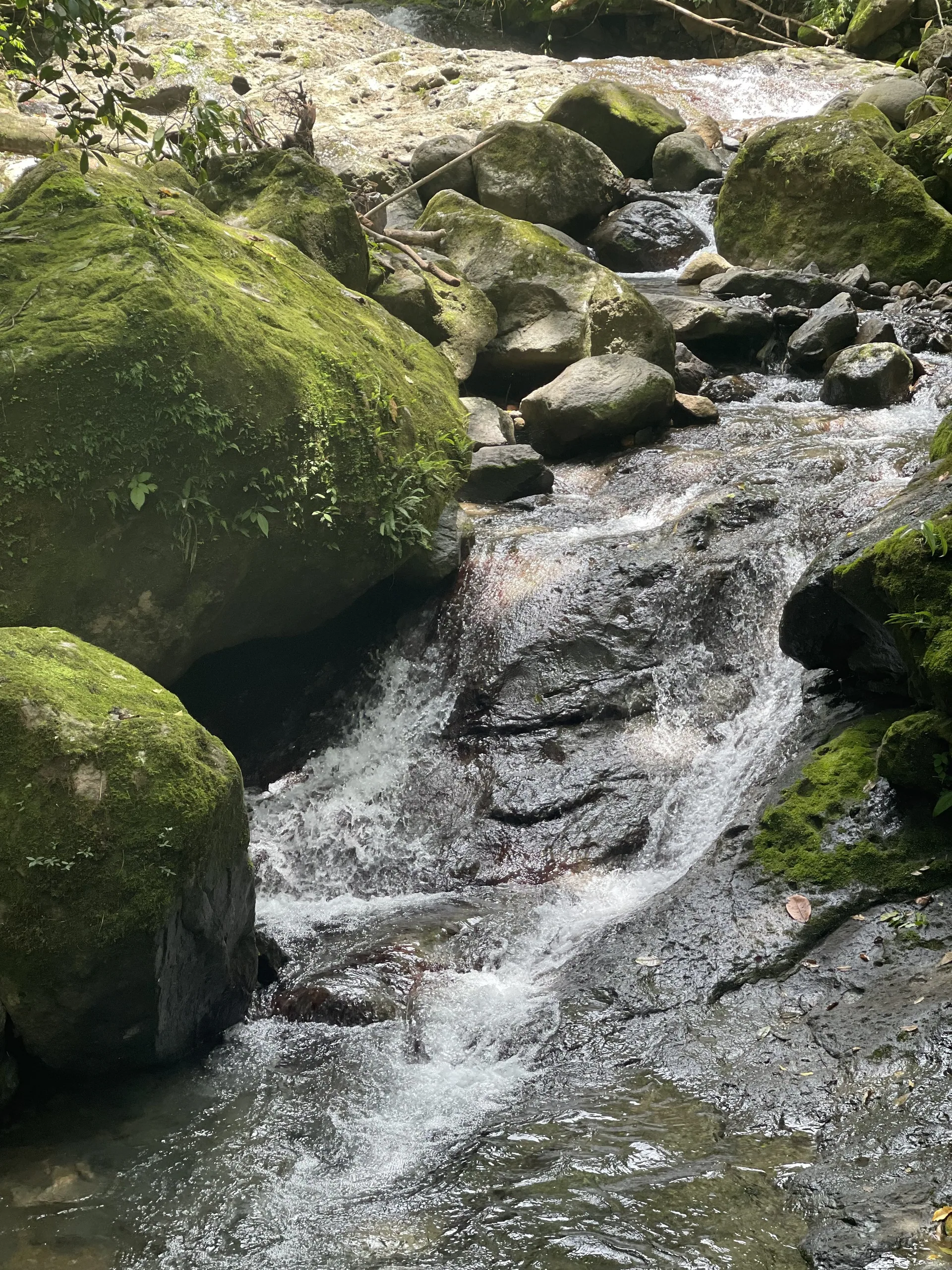 El valle del cráter y sus paredes boscosas en El Valle de Antón, Coclé, Panamá