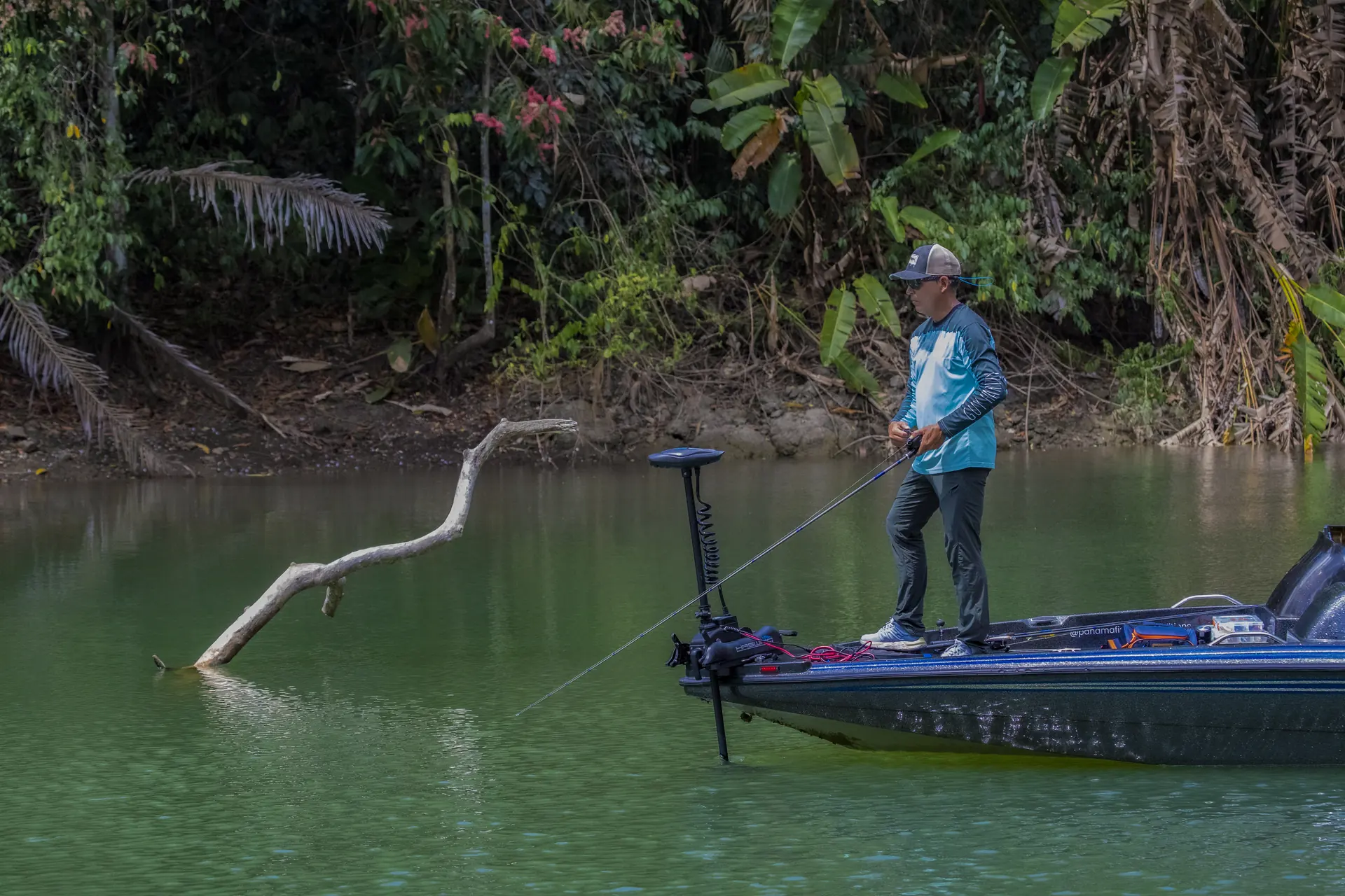 Casting from a bass boat along the forested shore of Gatún Lake