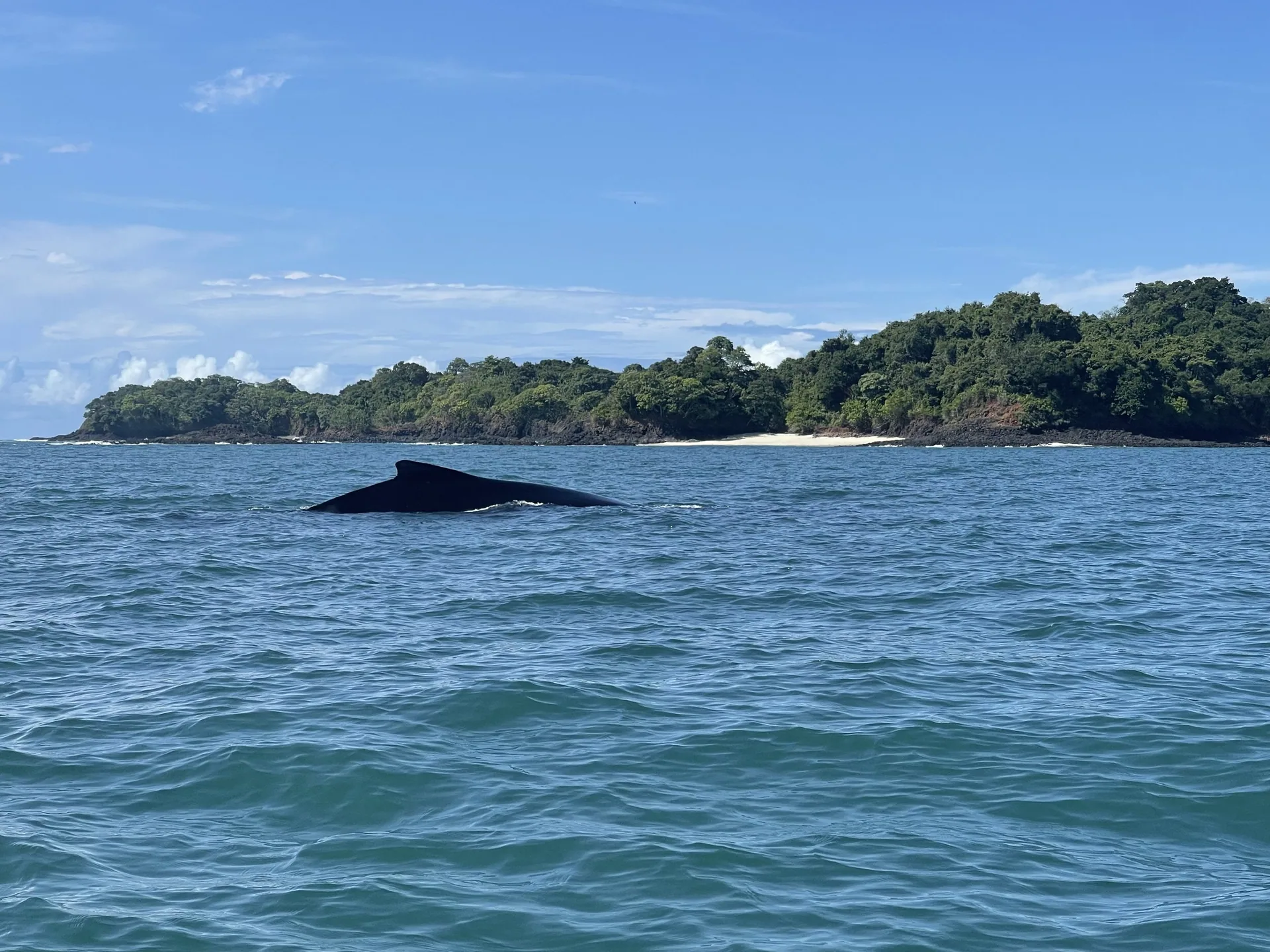 Islas del Golfo de Chiriquí desde el agua, Pacífico panameño