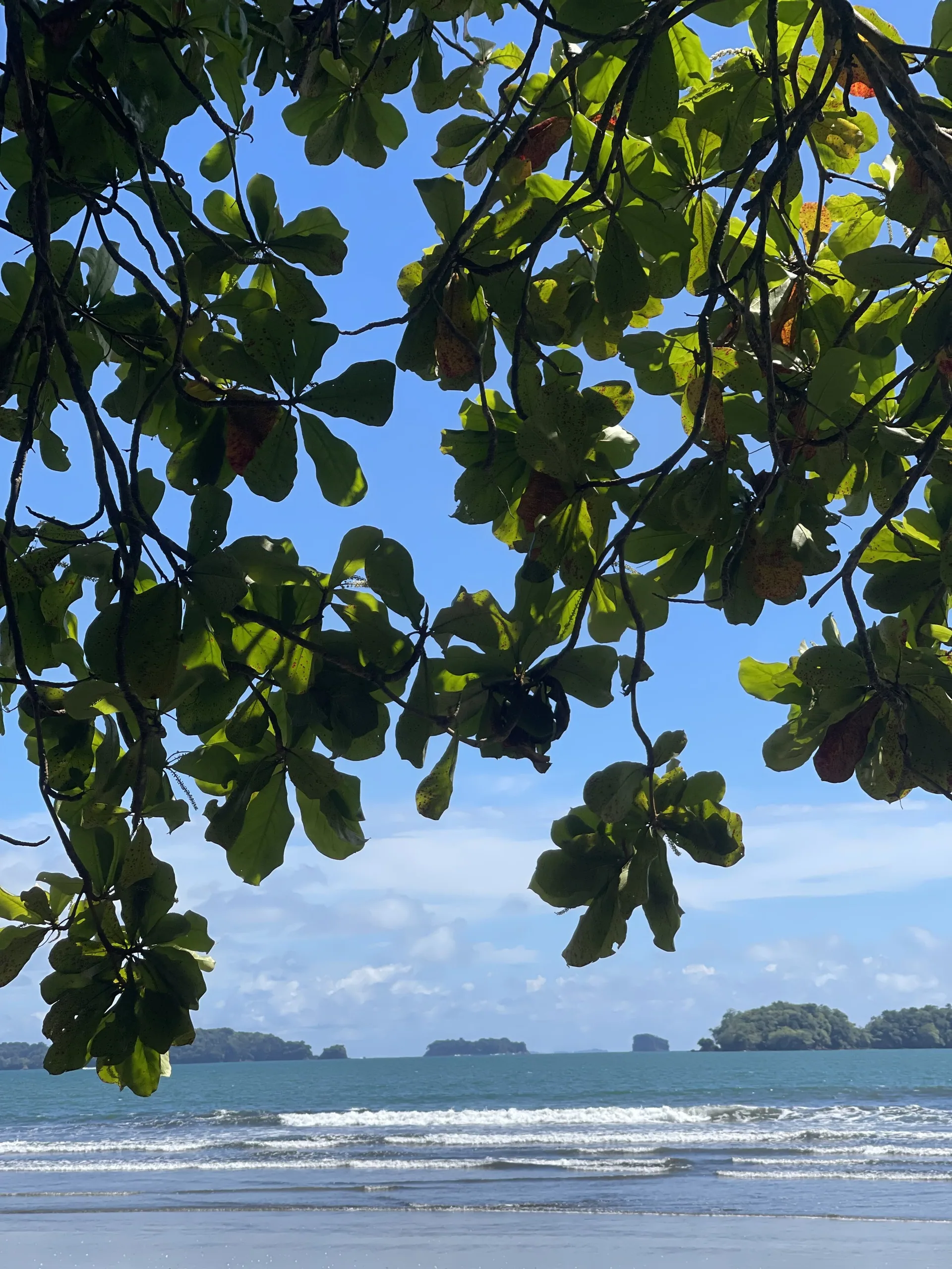 Islas del Golfo de Chiriquí desde el agua, Pacífico panameño