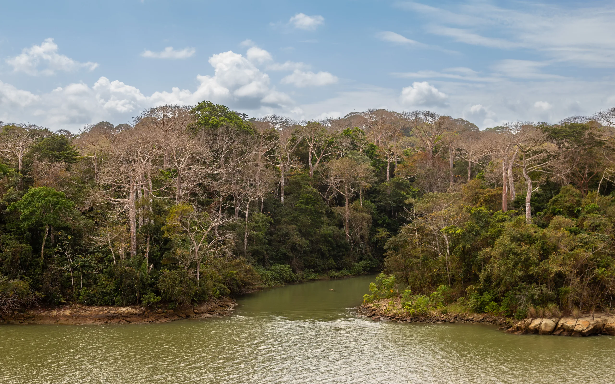 Barco privado en el lago Gatún al amanecer, cuenca del Canal de Panamá